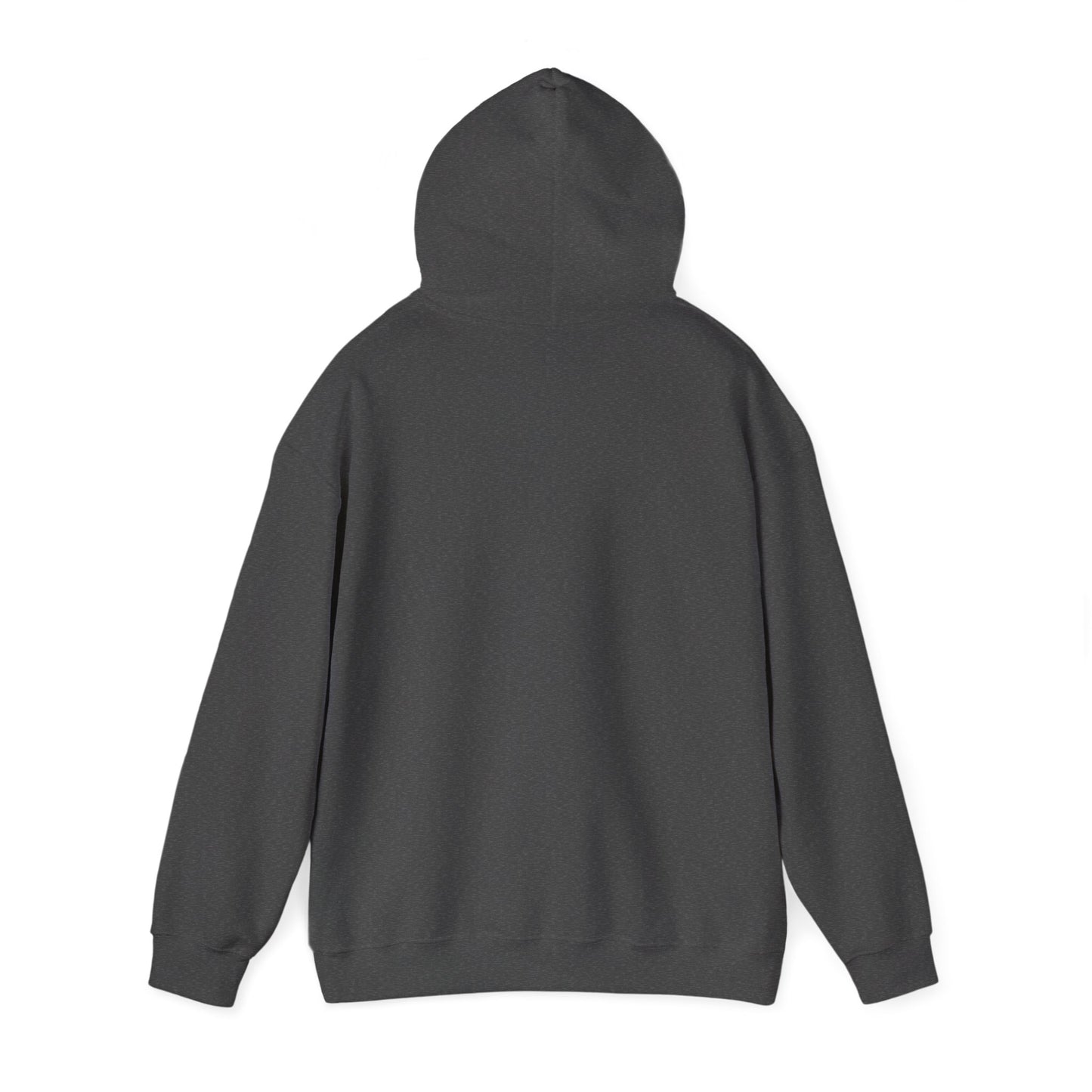Boise Vintage Mountain Hoodie — River Scenic Outdoor Sweatshirt