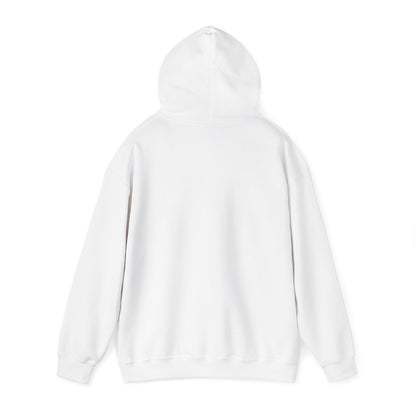 Lake Superior Hoodie – Scenic Bench Watercolor Design DULUTH